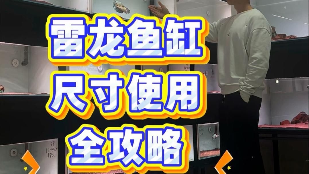 巴卡雷龍魚需要多大的魚缸？，巴卡雷龍一個月能長多大