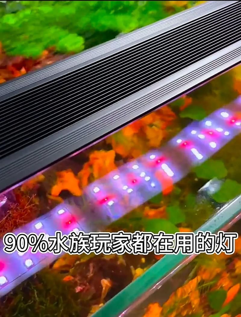 LED水族燈有哪些智能功能？，led水族燈的主要智能led水族燈的主要功能 LED水族燈有哪些智能功能？，led水族燈的主要智能led水族燈的主要功能 龍魚百科 第3張