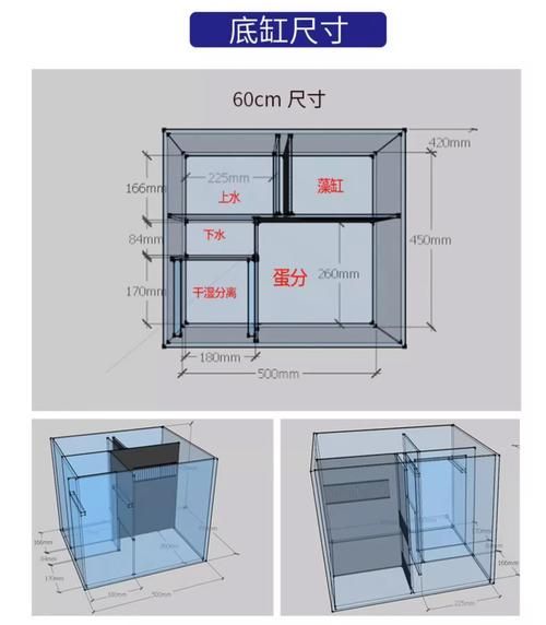 如何判斷龍魚缸的性價比？，如何判斷龍魚缸性價比