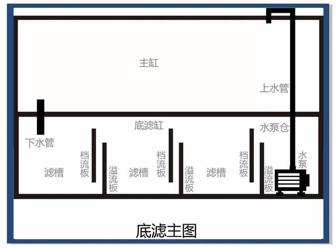 如何判斷龍魚缸的性價比？，如何判斷龍魚缸性價比