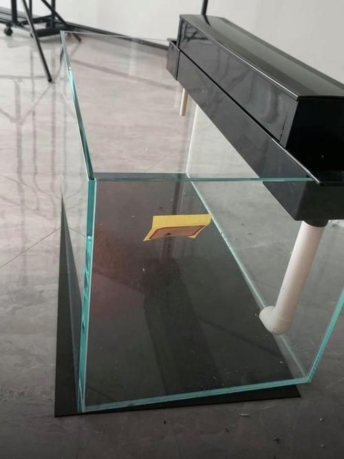 如何判斷龍魚缸的性價比？，如何判斷龍魚缸性價比