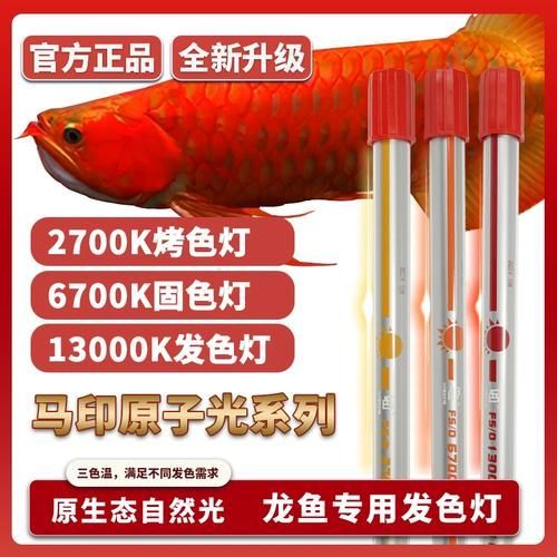馬印13000K燈的價格是多少，馬印13000k燈價格 馬印13000K燈的價格是多少，馬印13000k燈價格 龍魚百科 第2張