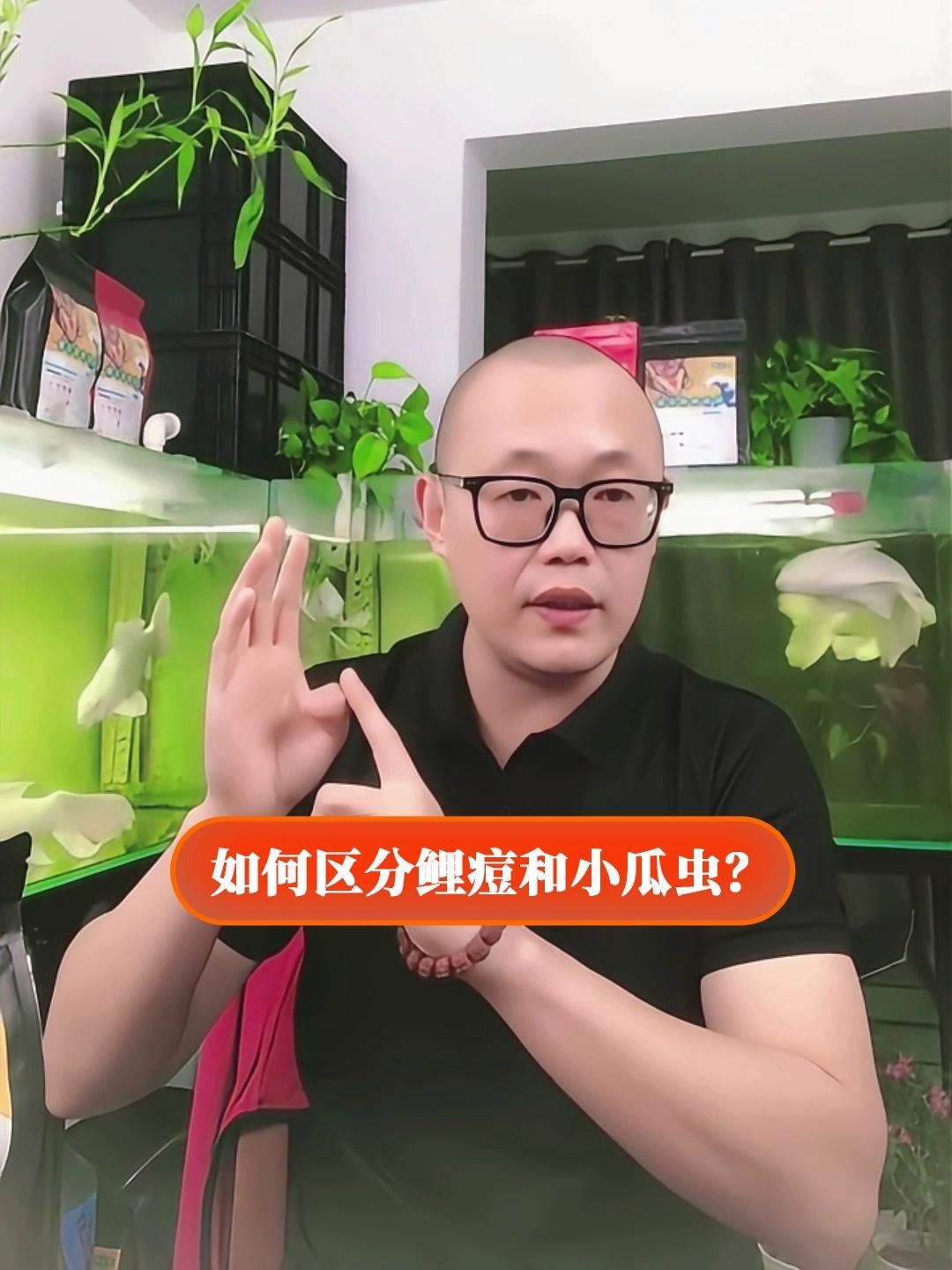 哪些寄生蟲對魚類危害最大，中科貝隆魚病防治科普系列全民小視頻探討魚類養殖業