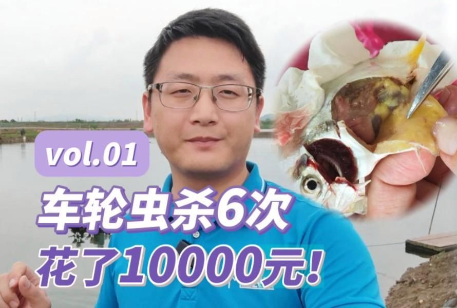 哪些寄生蟲對魚類危害最大，中科貝隆魚病防治科普系列全民小視頻探討魚類養殖業