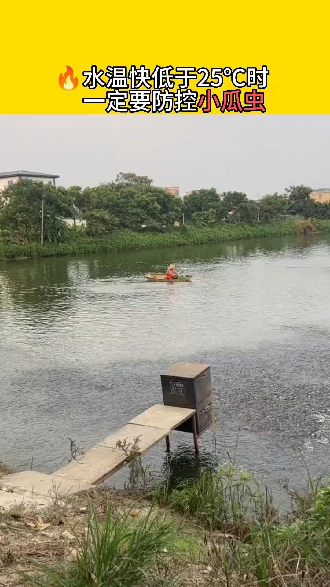 哪些寄生蟲對魚類危害最大，中科貝隆魚病防治科普系列全民小視頻探討魚類養殖業