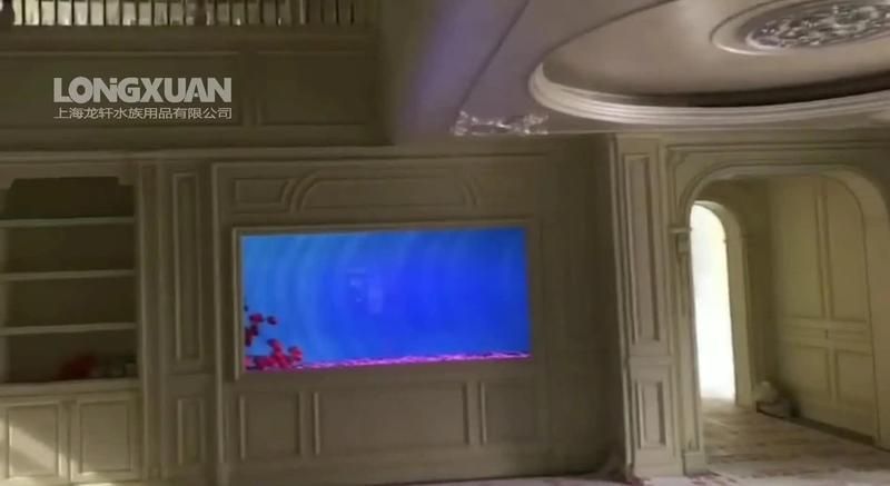 如何訂購定制魚缸？ 如何訂購定制魚缸？ 龍魚百科 第2張
