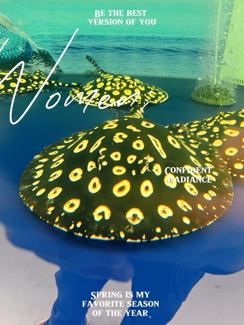 給我一些魟魚的圖片，魟魚的特征和作用 給我一些魟魚的圖片，魟魚的特征和作用 龍魚百科 第6張