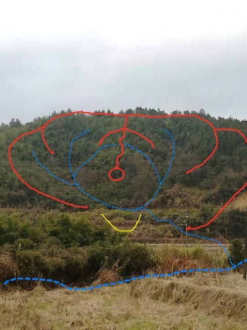 龍形地風(fēng)水有哪些經(jīng)典案例，龍形地風(fēng)水案例賞析
