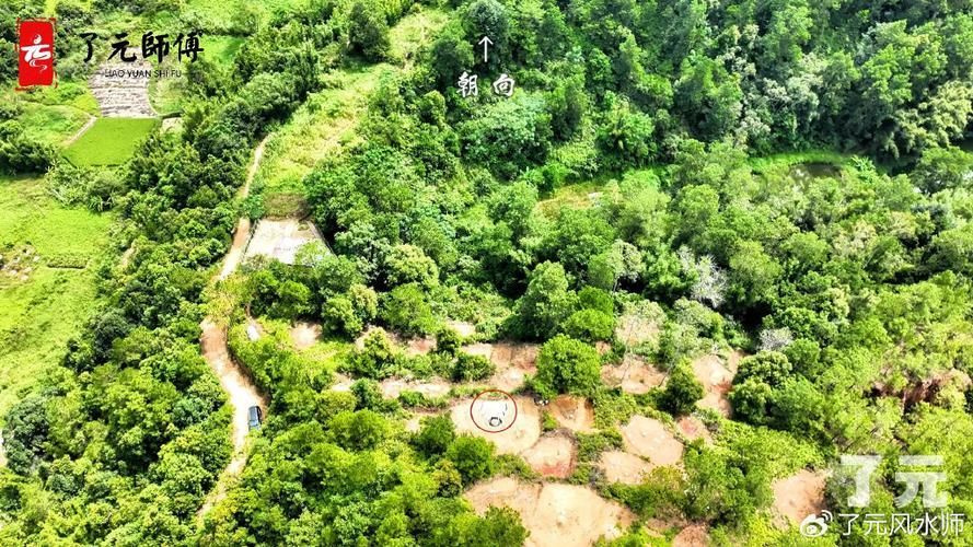 龍形地風(fēng)水有哪些經(jīng)典案例，龍形地風(fēng)水案例賞析