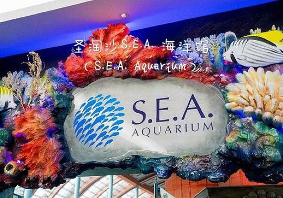 伊罕魚缸有哪些型號可選？，伊罕魚缸+雙光譜（eheimpowerled+246l)246l)） 伊罕魚缸有哪些型號可選？，伊罕魚缸+雙光譜（eheimpowerled+246l)246l)） 龍魚百科 第8張