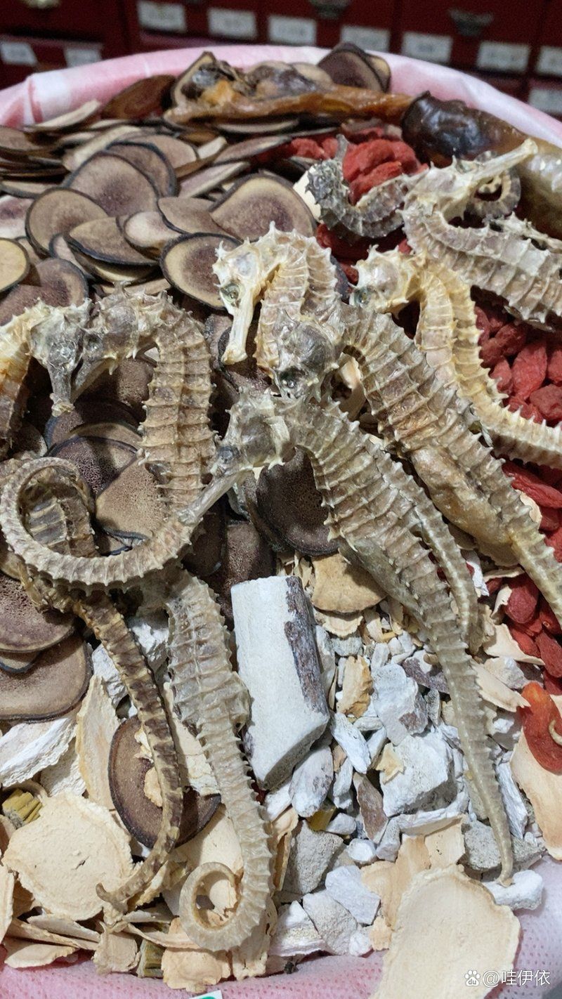 海龍和海馬的藥用價(jià)值有何不同，海馬和海龍的區(qū)別 海龍和海馬的藥用價(jià)值有何不同，海馬和海龍的區(qū)別 龍魚百科 第2張