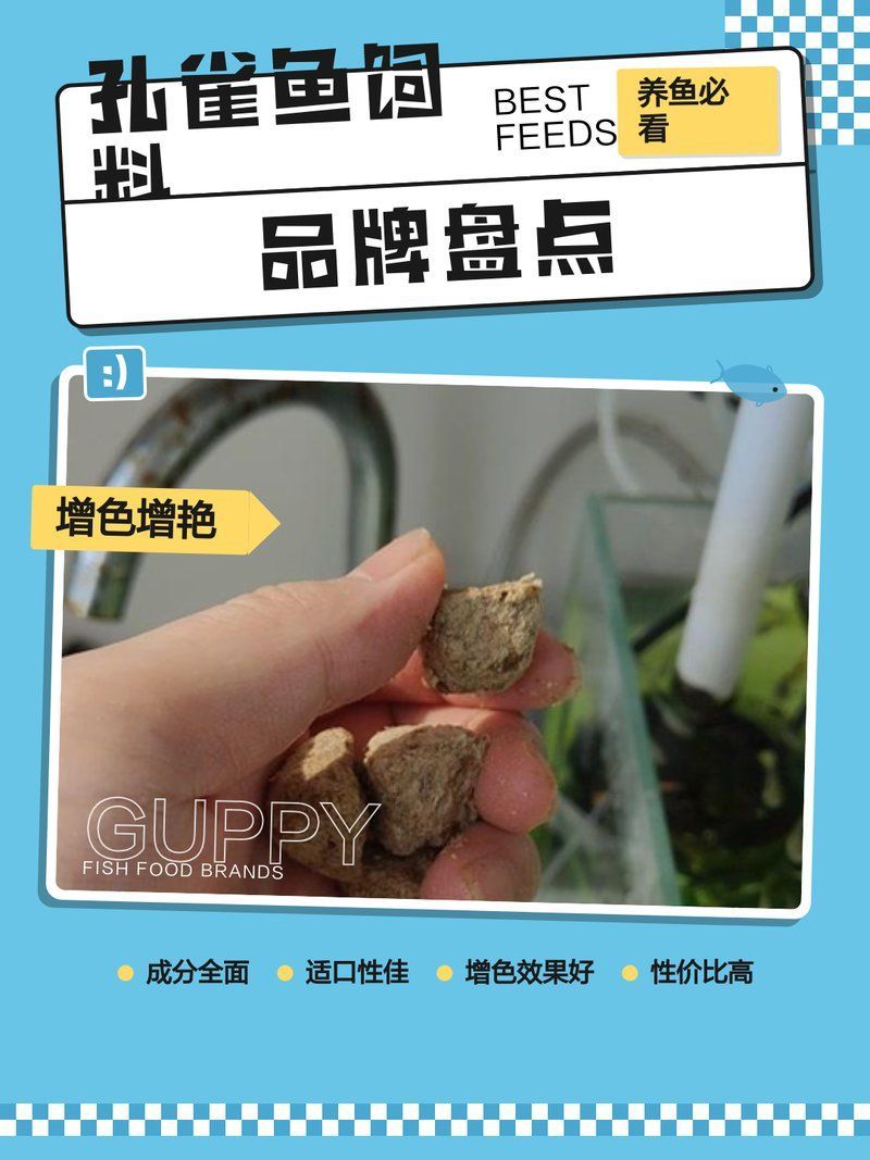 孔雀魚飼料有哪些品牌推薦，孔雀魚飼料品牌推薦的孔雀魚飼料品牌及其特點及其特點 孔雀魚飼料有哪些品牌推薦，孔雀魚飼料品牌推薦的孔雀魚飼料品牌及其特點及其特點 龍魚百科 第15張