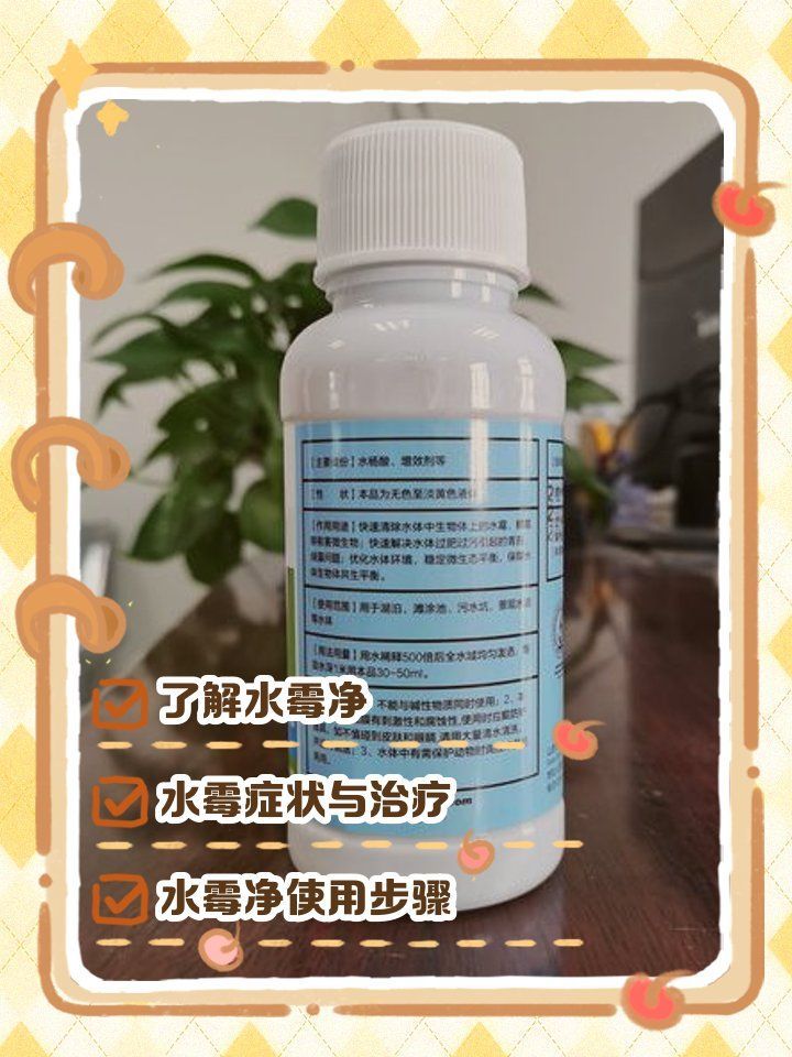 祥龍魚生病了應(yīng)該怎么辦？，祥龍魚生病使用恒溫加熱棒，換水溫差[需手動填充]1000字詳解