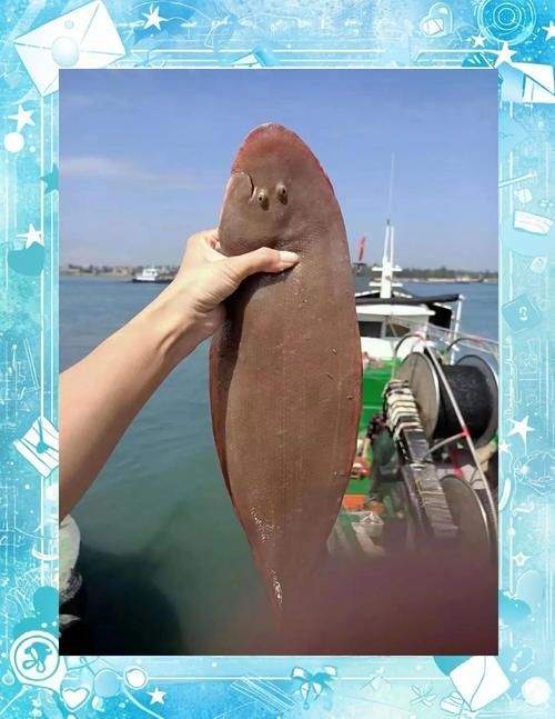龍魚哪個品種最有營養？，如何區分不同品種的龍魚？ 龍魚哪個品種最有營養？，如何區分不同品種的龍魚？ 龍魚百科 第4張