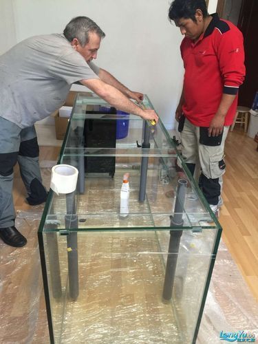 如何選擇適合的高端龍魚缸？，富媒體組件庫召回高端龍魚缸的選購指南