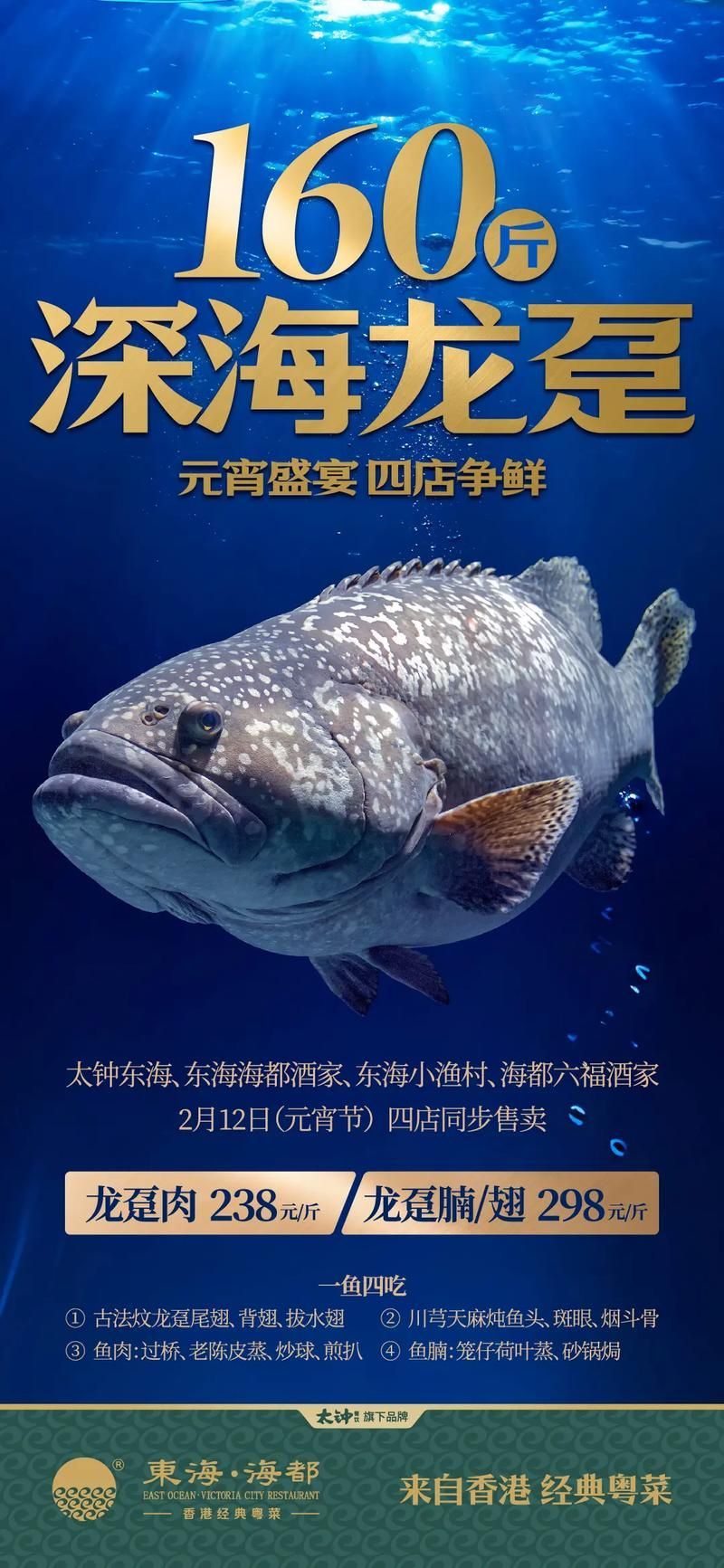 給我一張龍躉的圖片，石斑魚家族中體型最大的物種，素有“石斑王”之稱