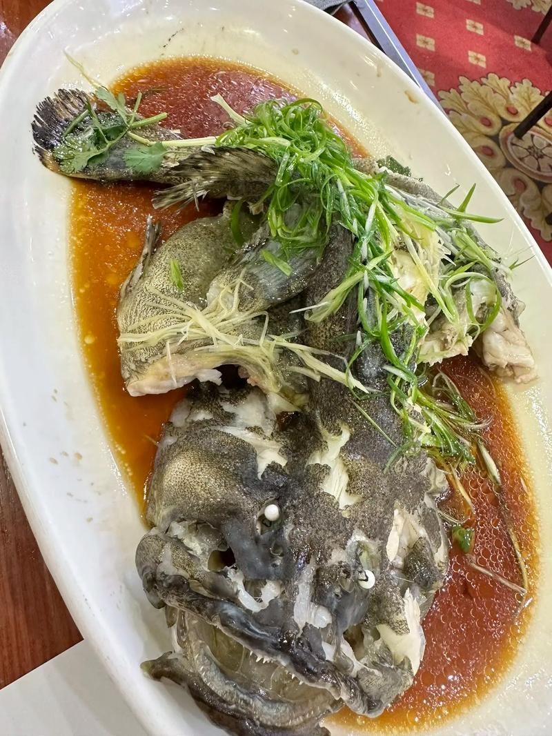 給我一張龍躉的圖片，石斑魚家族中體型最大的物種，素有“石斑王”之稱
