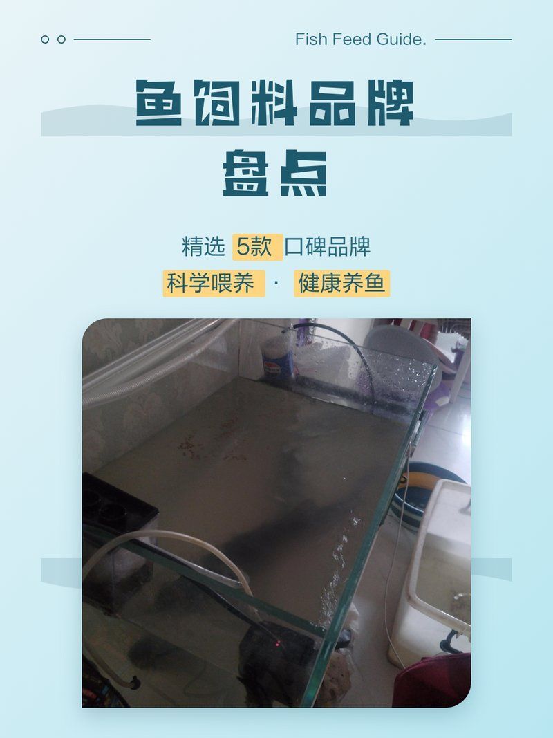 國產魚飼料哪個品牌最好，國產魚飼料品牌推薦 國產魚飼料哪個品牌最好，國產魚飼料品牌推薦 龍魚百科 第2張