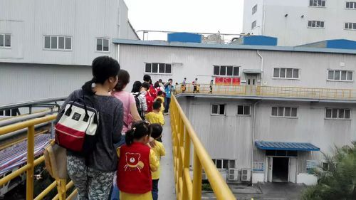 金龍魚廠子是否對外開放？，探秘金龍魚工廠