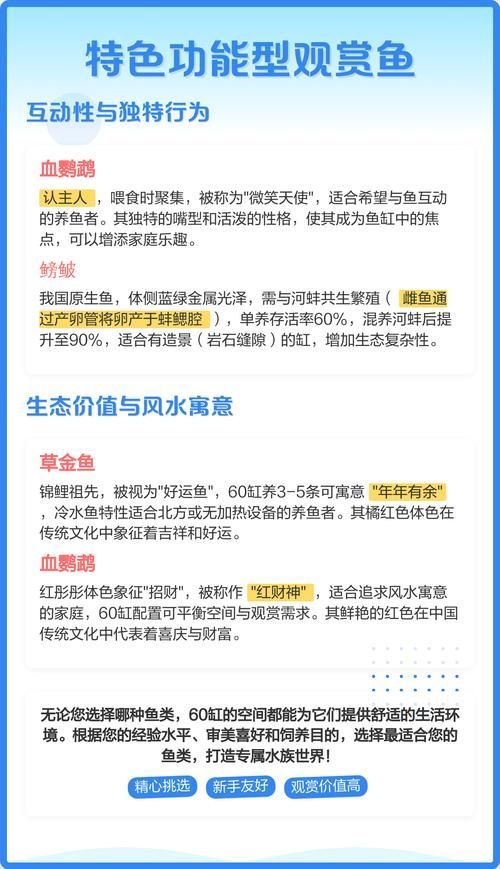 60缸十大最建議買的魚有哪些特點，60缸十大最建議買的魚