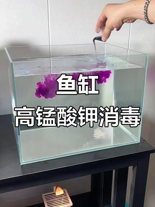 有哪些有效的魚缸細菌抑制劑，如何正確使用魚缸抑菌劑 有哪些有效的魚缸細菌抑制劑，如何正確使用魚缸抑菌劑 龍魚百科 第4張