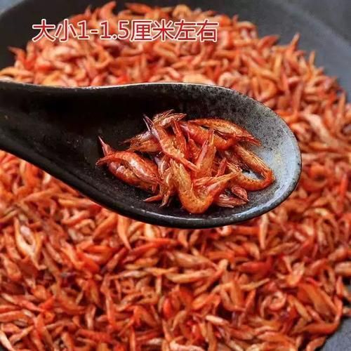 有哪些適合龍魚的活餌飼料？，如何選擇適合龍魚的活餌飼料 有哪些適合龍魚的活餌飼料？，如何選擇適合龍魚的活餌飼料 龍魚百科 第13張