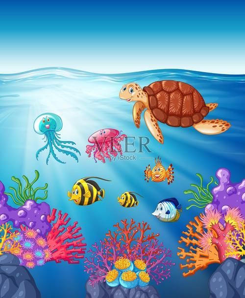 能否提供一張魚和烏龜的圖片，探索海洋與陸地的和諧共存 能否提供一張魚和烏龜的圖片，探索海洋與陸地的和諧共存 龍魚百科 第7張