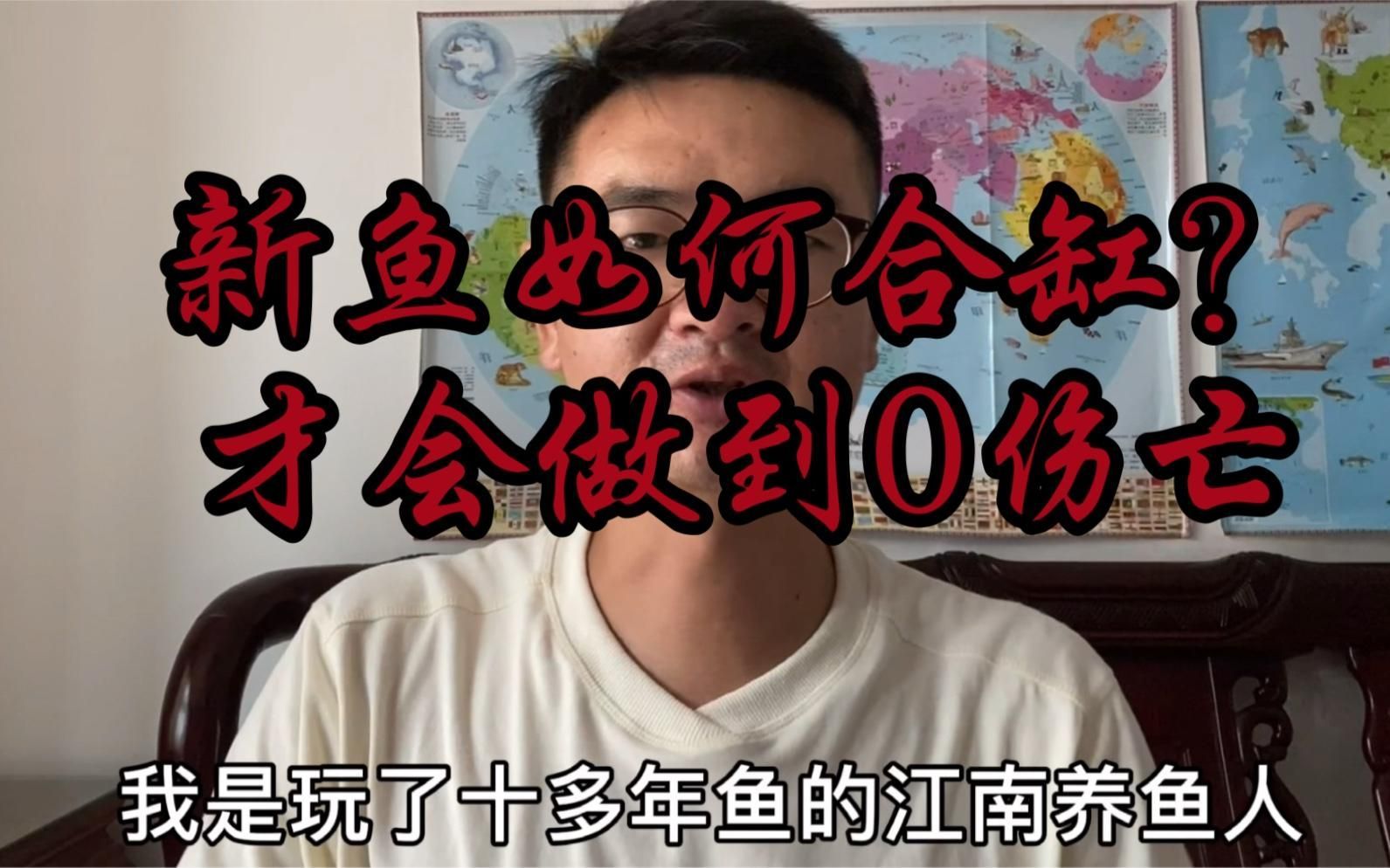 如何判斷魚是否適應新環境，新買的魚怎么入缸