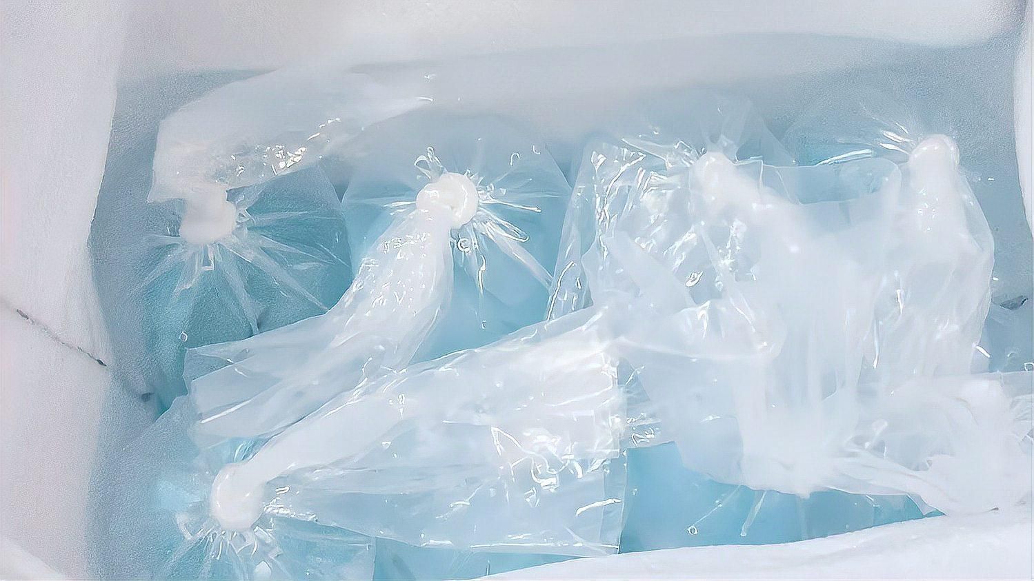 如何判斷魚是否適應新環境，新買的魚怎么入缸