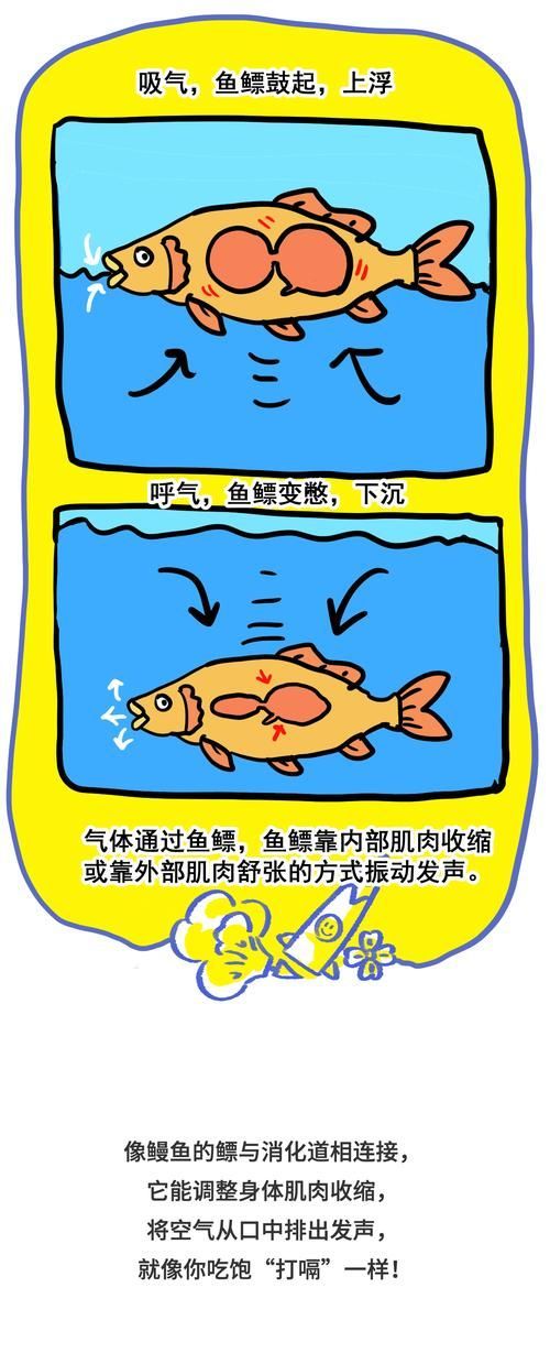 如何判斷魚類是否浮頭，如何判斷魚類浮頭