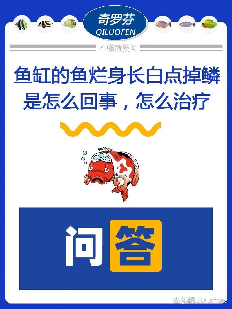魚鱗腐爛可以自愈嗎