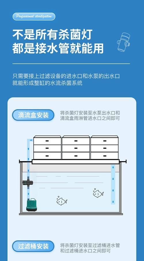 如何預防魚缸真菌感染，arxiv論文助手（arxiv論文助手）真菌感染指南 如何預防魚缸真菌感染，arxiv論文助手（arxiv論文助手）真菌感染指南 龍魚百科 第6張