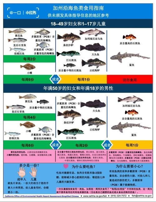 如何判斷深海魚類是否汞含量過(guò)高，arxiv論文助手arxiv論文助手判斷深海魚類是否汞含量過(guò)高
