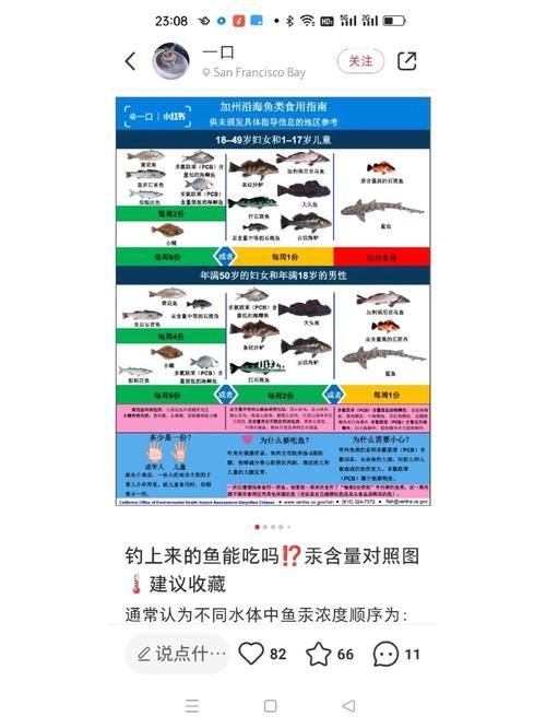如何判斷深海魚類是否汞含量過(guò)高，arxiv論文助手arxiv論文助手判斷深海魚類是否汞含量過(guò)高