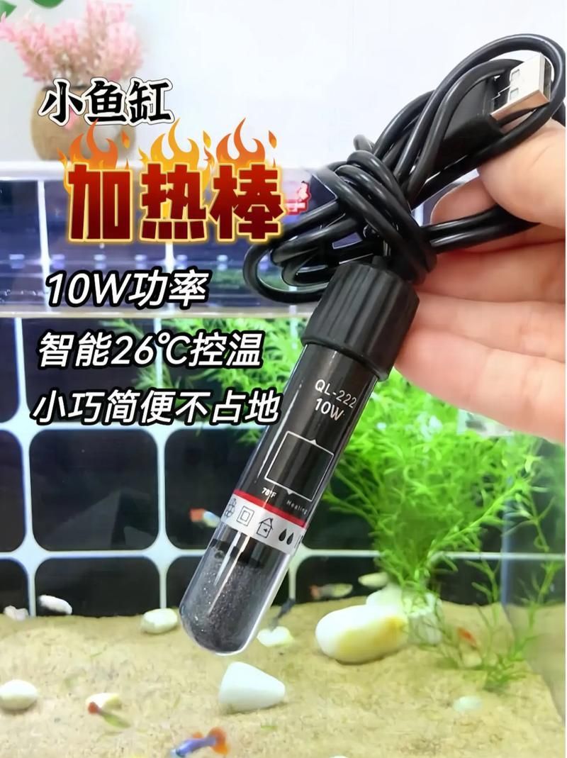 蝴蝶鯉的飼養(yǎng)方法，蝴蝶鯉的飼養(yǎng)技術