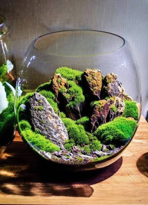 能否提供一張更詳細的造景圖，一張“詳細”的造景圖要素清單 能否提供一張更詳細的造景圖，一張“詳細”的造景圖要素清單 龍魚百科 第10張