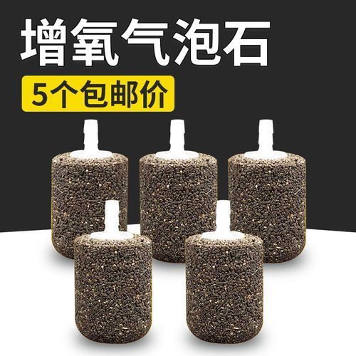 如何緩解魚的呼吸急促，如何緩解魚呼吸急促 如何緩解魚的呼吸急促，如何緩解魚呼吸急促 龍魚百科 第3張