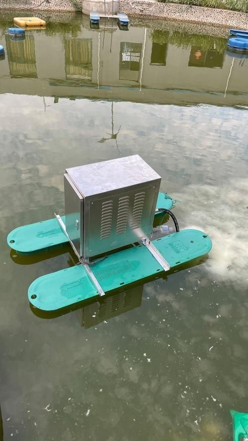 如何緩解魚的呼吸急促，如何緩解魚呼吸急促 如何緩解魚的呼吸急促，如何緩解魚呼吸急促 龍魚百科 第4張