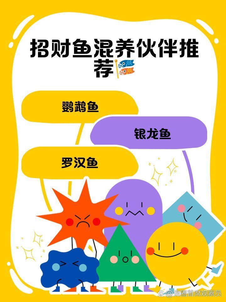 招財(cái)魚混養(yǎng)時(shí)需要注意什么，養(yǎng)招財(cái)魚時(shí)需要注意以下幾點(diǎn)，龍魚發(fā)色過程中有哪些注意事項(xiàng)