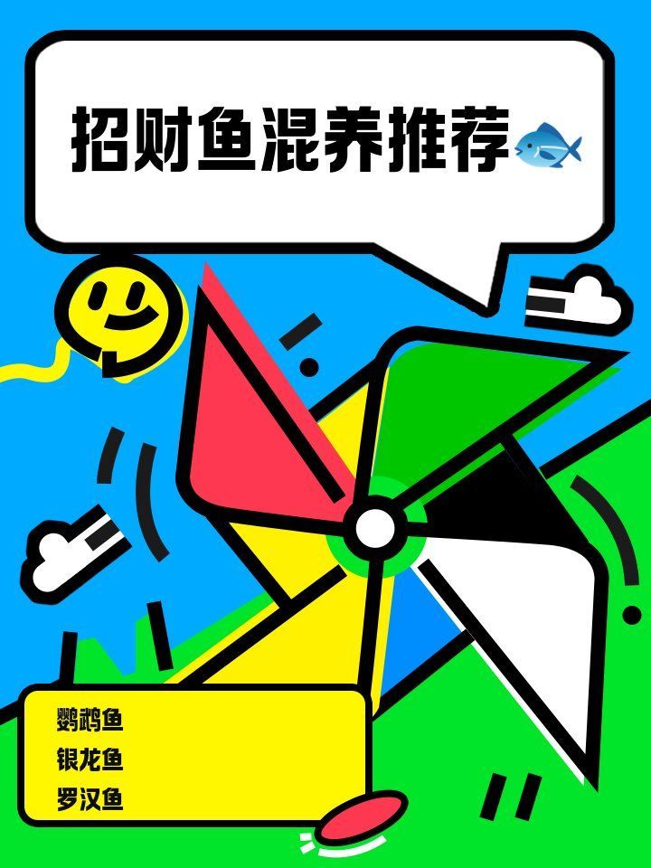 招財(cái)魚混養(yǎng)時(shí)需要注意什么，養(yǎng)招財(cái)魚時(shí)需要注意以下幾點(diǎn)，龍魚發(fā)色過程中有哪些注意事項(xiàng)