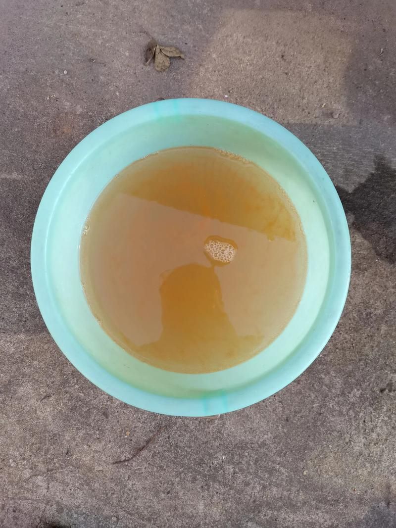 有哪些活餌適合龍魚喂食？ 有哪些活餌適合龍魚喂食？ 龍魚百科 第17張