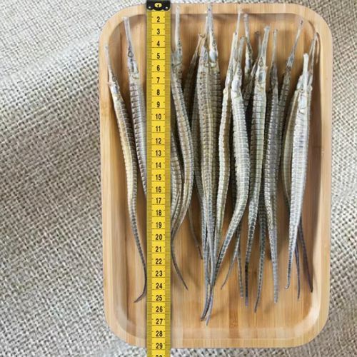 海龍的藥用功效有哪些，海龍的藥用功效
