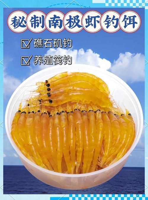 如何合法飼養(yǎng)海龍魚，合法飼養(yǎng)海龍魚的基本要求