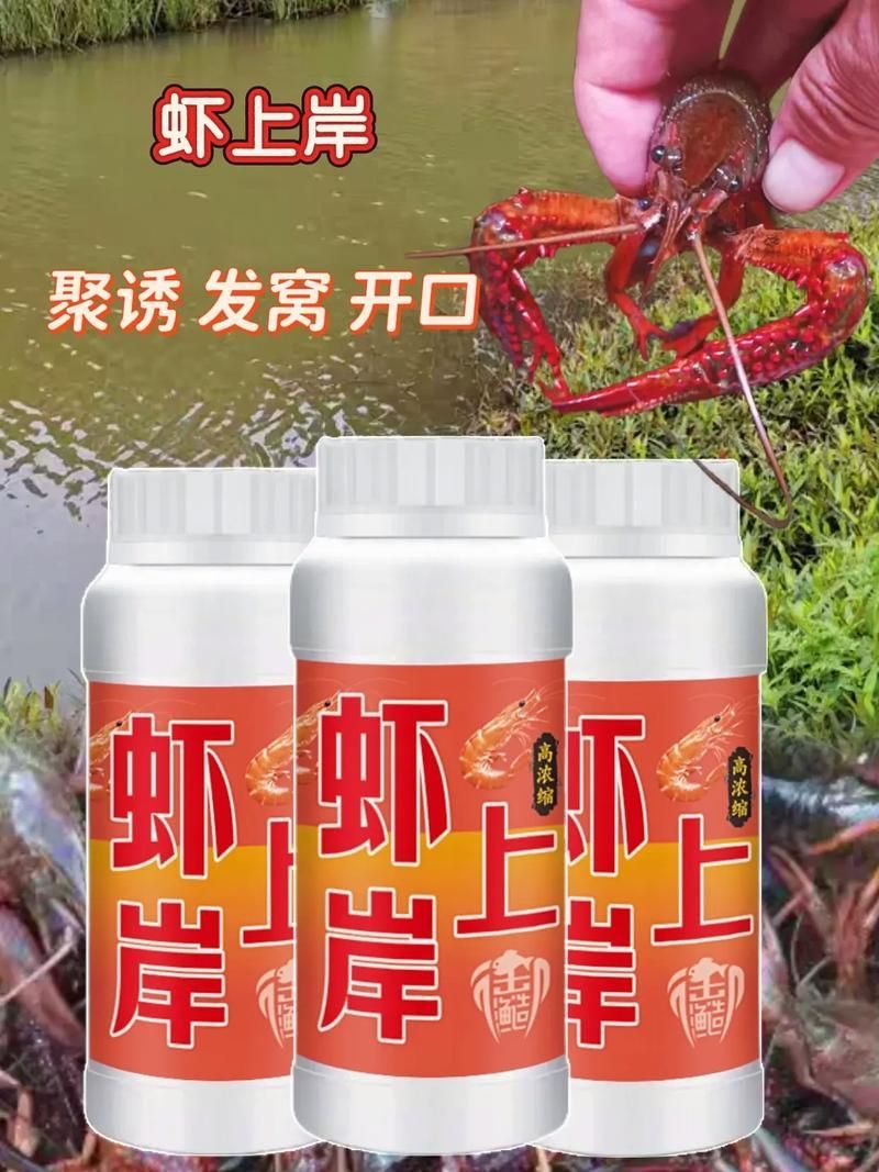 如何合法飼養(yǎng)海龍魚，合法飼養(yǎng)海龍魚的基本要求