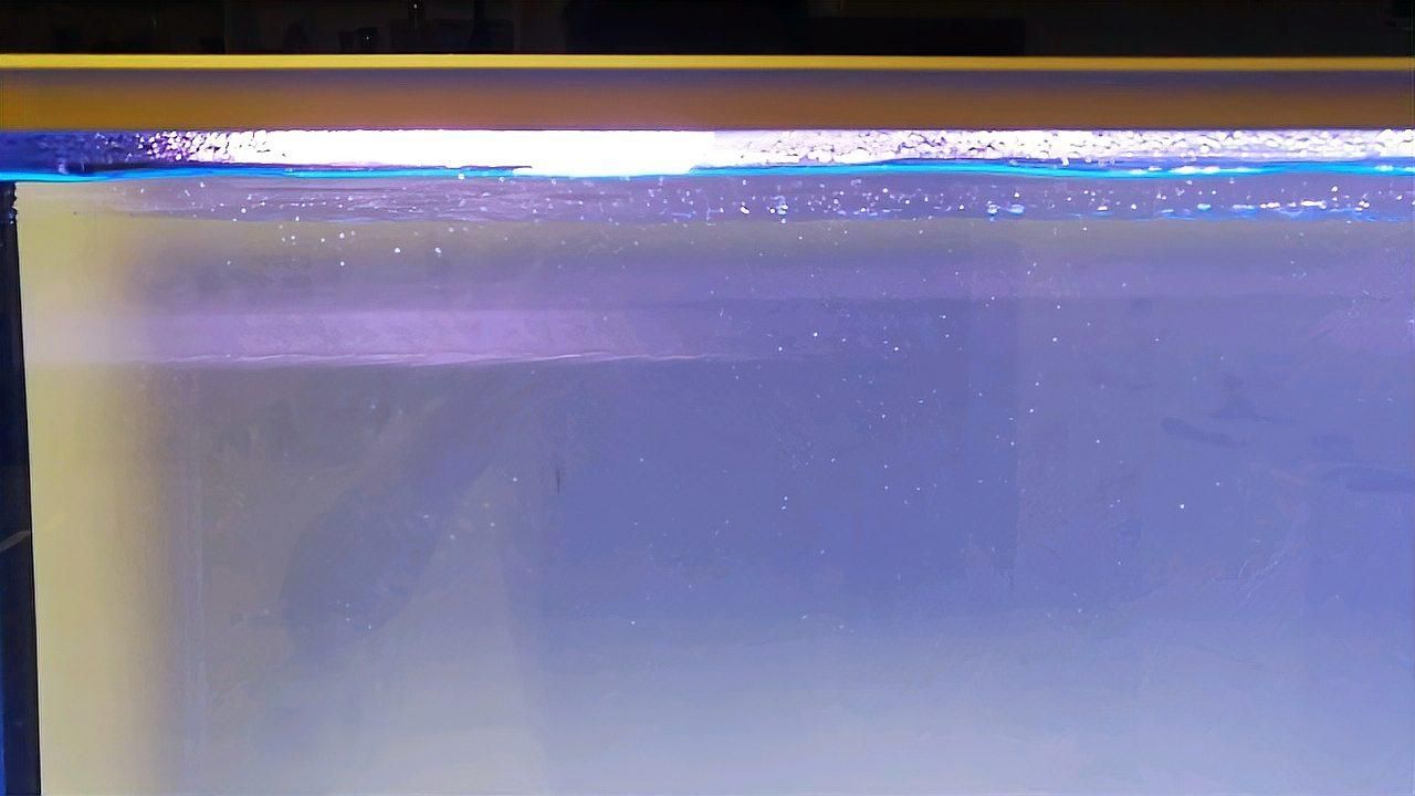 如何判斷一個龍魚魚缸的品牌和質量？