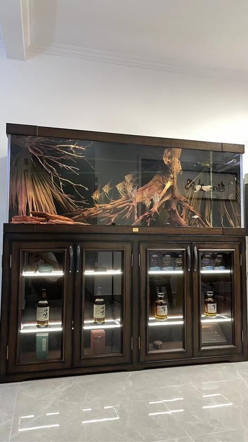 祥龍魚場推薦什么品牌的缸？，祥龍魚場推薦什么品牌的缸 祥龍魚場推薦什么品牌的缸？，祥龍魚場推薦什么品牌的缸 龍魚百科 第6張
