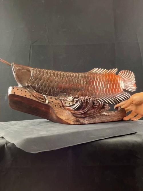 如何辨別金龍魚木雕的材質，如何辨別金龍魚木雕材質