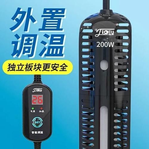 彩鰈和森森哪個更適合龍魚飼養？ 彩鰈和森森哪個更適合龍魚飼養？ 龍魚百科 第11張