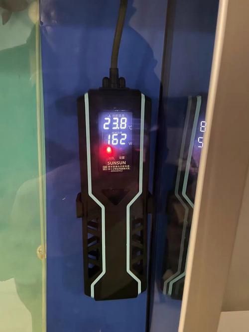 彩鰈和森森哪個更適合龍魚飼養？ 彩鰈和森森哪個更適合龍魚飼養？ 龍魚百科 第10張