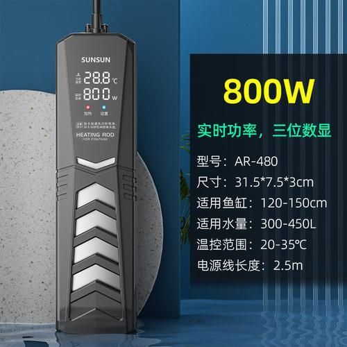 彩鰈和森森哪個更適合龍魚飼養？ 彩鰈和森森哪個更適合龍魚飼養？ 龍魚百科 第12張